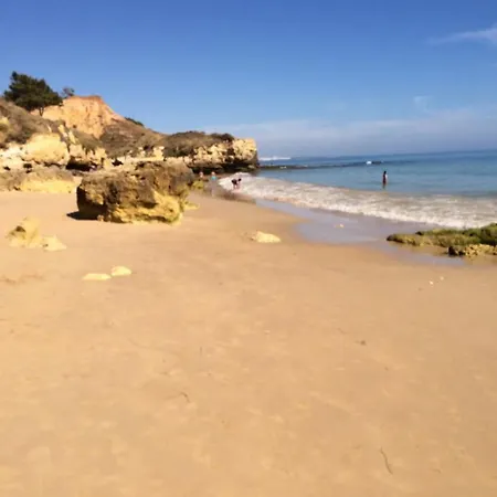 Nice Cozy And Very Central 公寓 奥霍斯德古阿